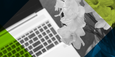 Four New Websites Bloom!